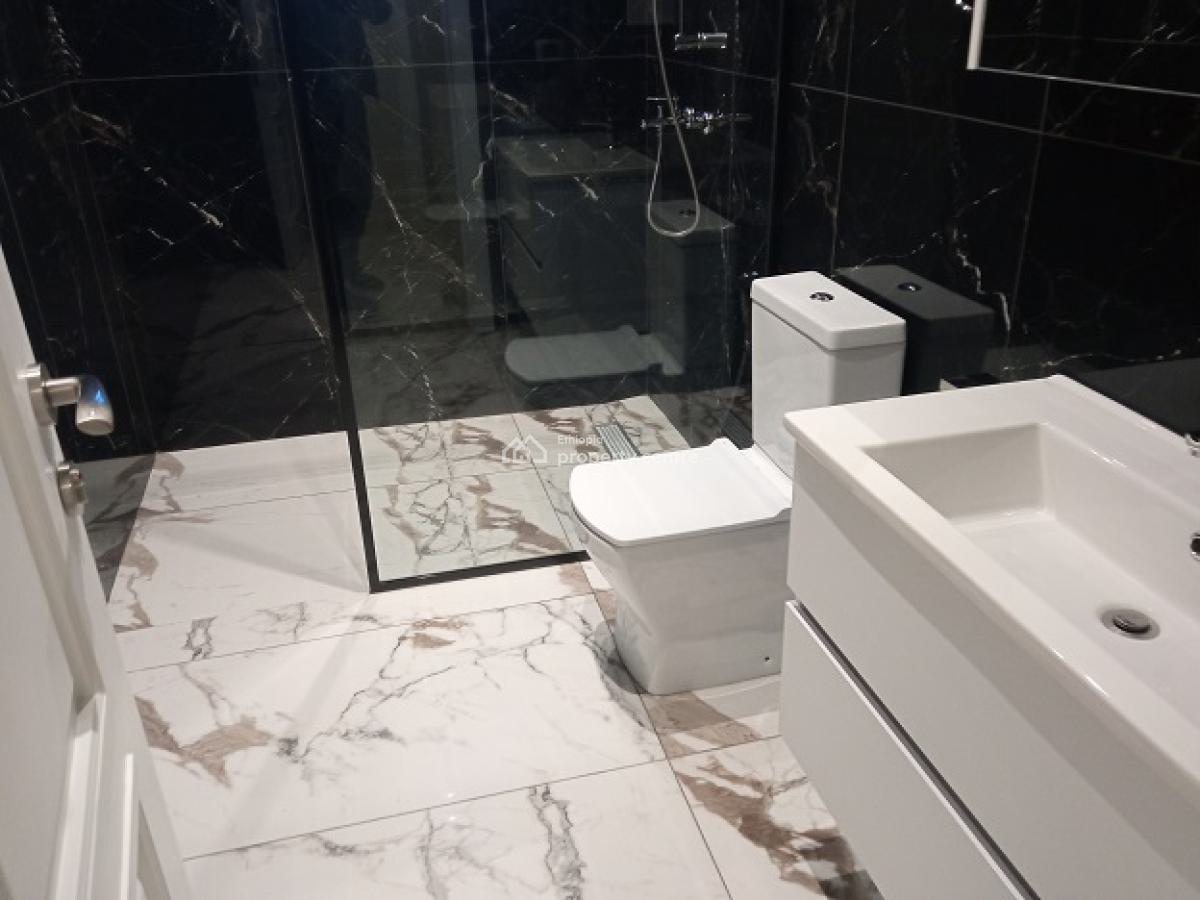 Very Bright, New, High Quality and Fully Furnished 3bd Apartment!, Bole, Addis Ababa, Apartment for Rent