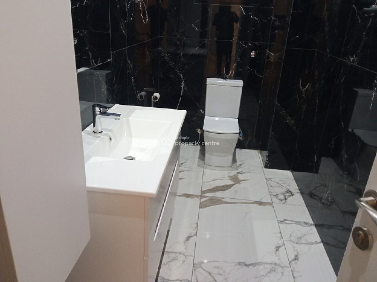 Top Standard, New and Fully Furnished 3bd Apartment!, Bole, Addis Ababa, Apartment for Rent