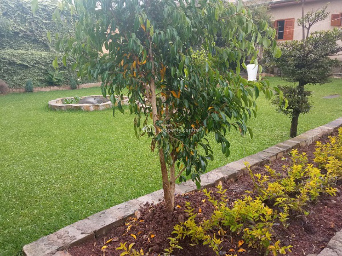 Old 2 Bed Room House + Great Garden!, Bole, Addis Ababa, House for Rent