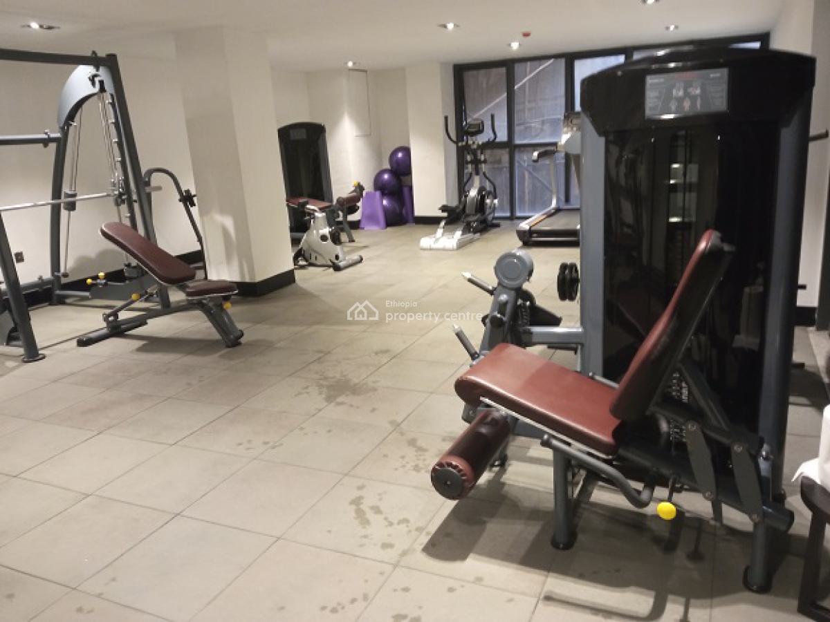 Gorgeous!! Fully Furnished Duplex 3bd Apt, Bole., Bole, Addis Ababa, Apartment for Rent