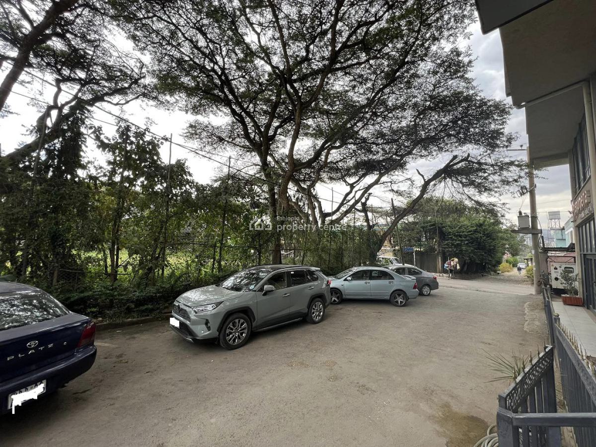 Bright, Fully Furnished 3bd Apartment in a Green Surrounding!, Bole, Addis Ababa, Apartment for Rent