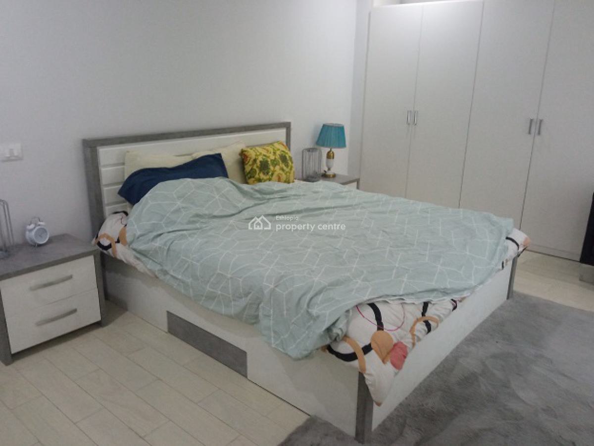 a Classy and Fully Furnished 2 Bd Apartment, Kazanchis (un Eca)., Kazanchis, Addis Ababa, Apartment for Rent