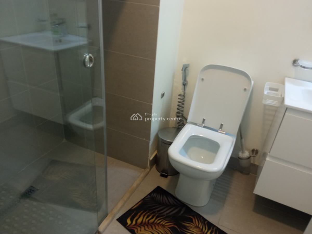a Classy and Fully Furnished 2 Bd Apartment, Kazanchis (un Eca)., Kazanchis, Addis Ababa, Apartment for Rent