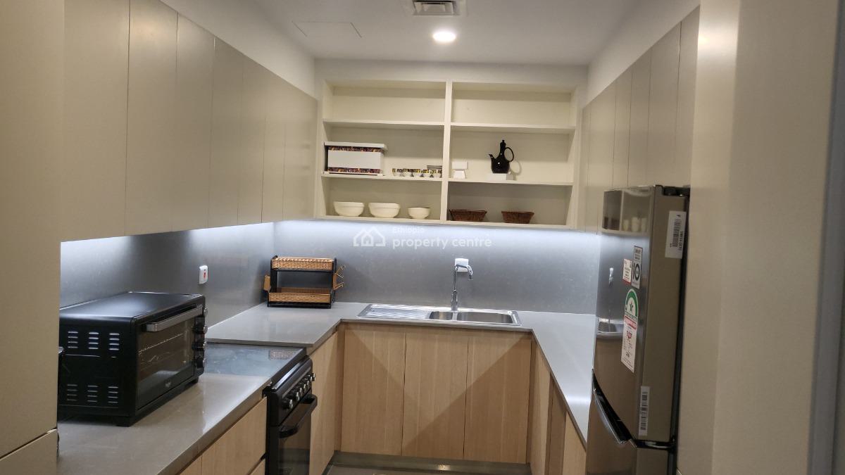 Luxury 2-bedroom Fully Furnished Apartment with Beautiful City View --, Kirkos, Addis Ababa, Self Contained (single Rooms) for Rent