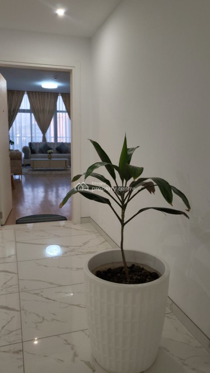 Luxury 2-bedroom Fully Furnished Apartment with Beautiful City View --, Kirkos, Addis Ababa, Self Contained (single Rooms) for Rent