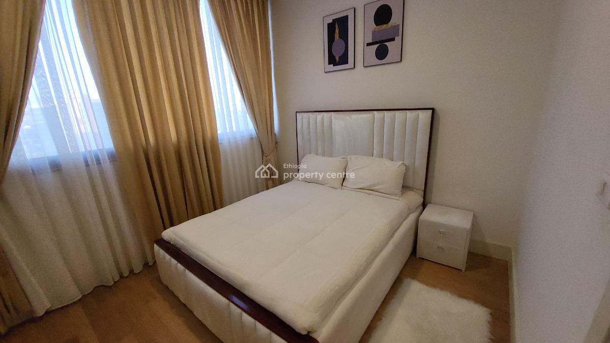 Luxury 2-bedroom Fully Furnished Apartment with Beautiful City View --, Kirkos, Addis Ababa, Self Contained (single Rooms) for Rent