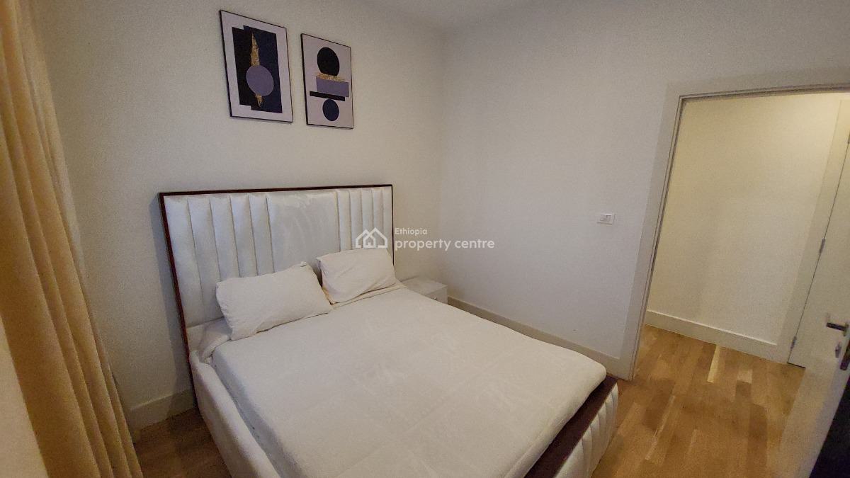 Luxury 2-bedroom Fully Furnished Apartment with Beautiful City View --, Kirkos, Addis Ababa, Self Contained (single Rooms) for Rent