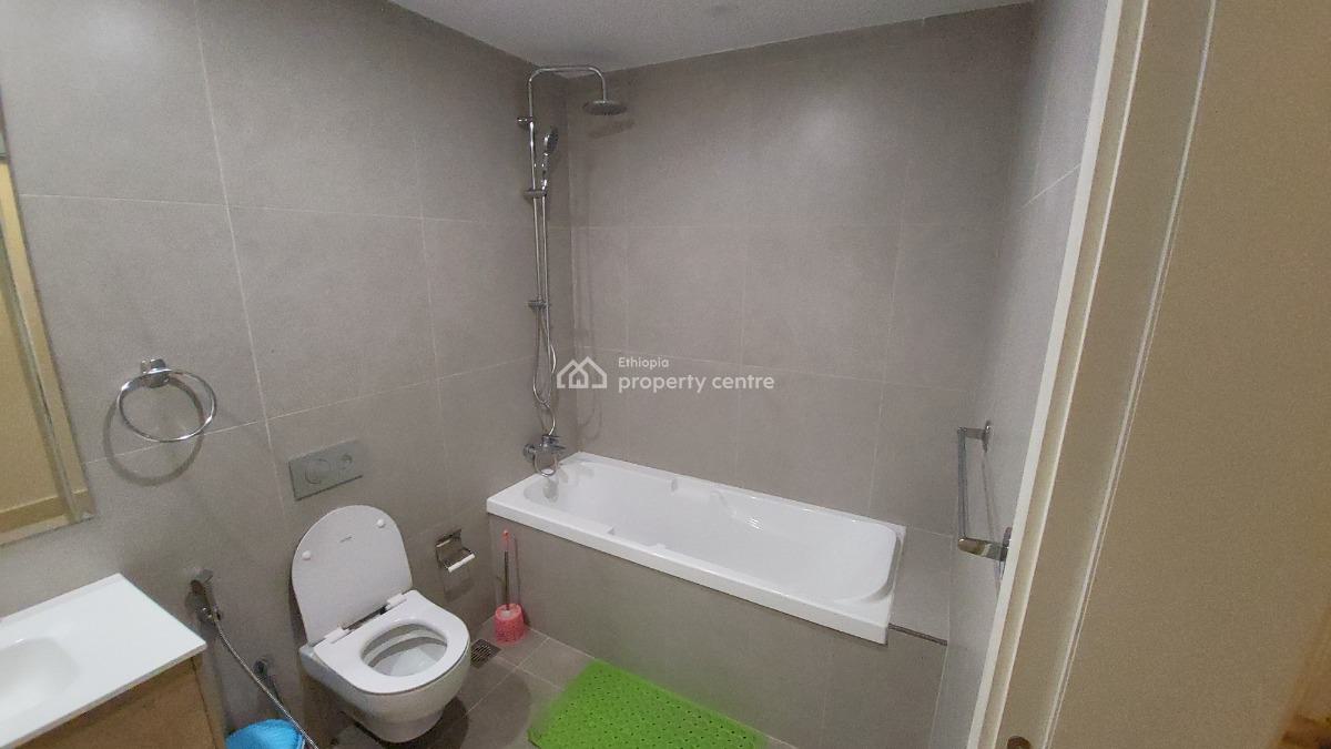 Luxury 2-bedroom Fully Furnished Apartment with Beautiful City View --, Kirkos, Addis Ababa, Self Contained (single Rooms) for Rent