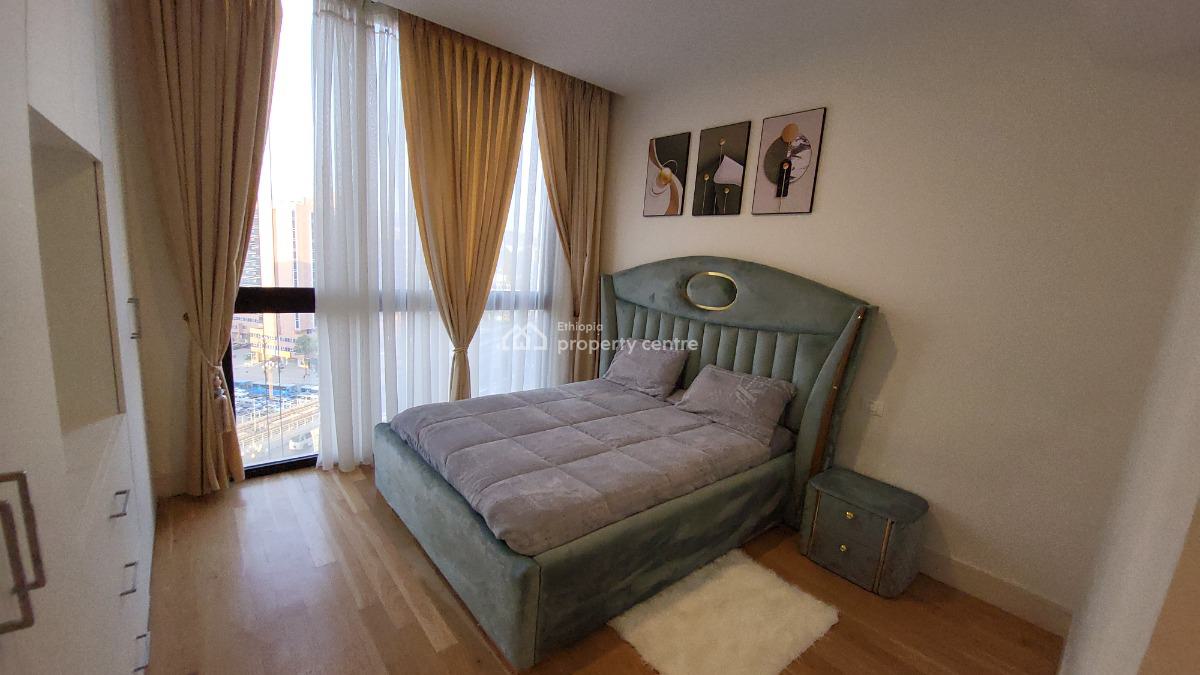 Luxury 2-bedroom Fully Furnished Apartment with Beautiful City View --, Kirkos, Addis Ababa, Self Contained (single Rooms) for Rent