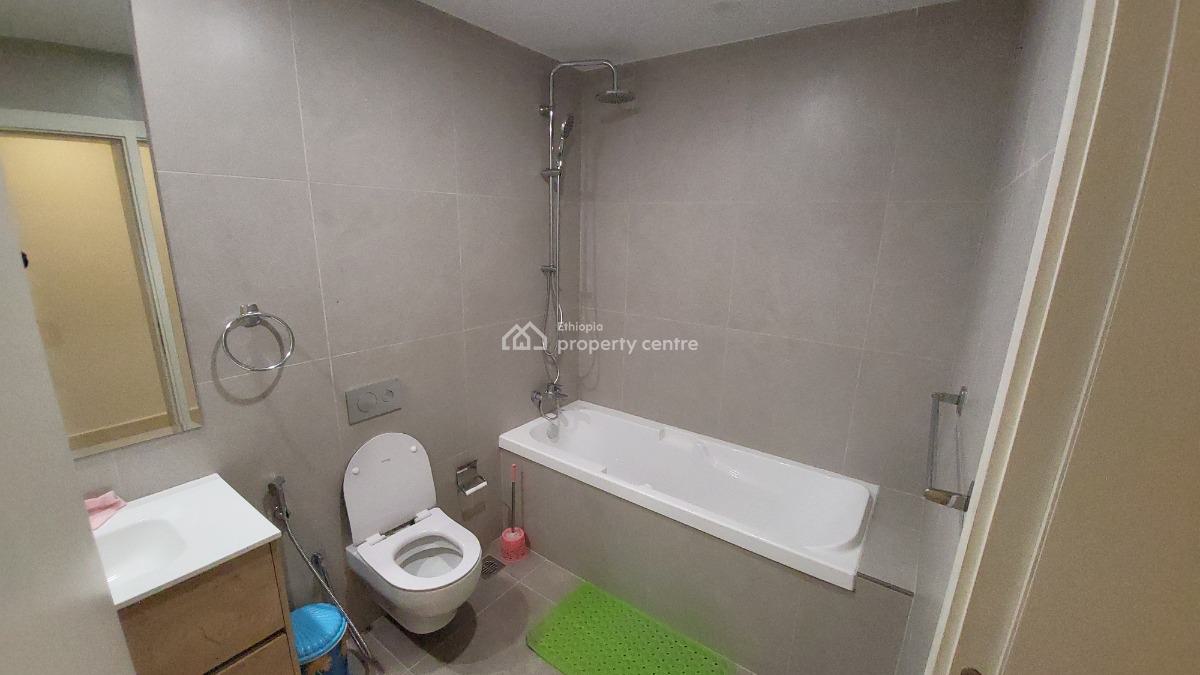 Luxury 2-bedroom Fully Furnished Apartment with Beautiful City View --, Kirkos, Addis Ababa, Self Contained (single Rooms) for Rent
