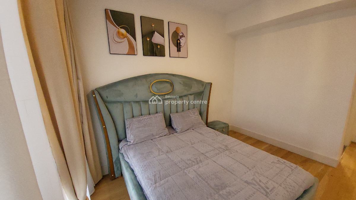 Luxury 2-bedroom Fully Furnished Apartment with Beautiful City View --, Kirkos, Addis Ababa, Self Contained (single Rooms) for Rent