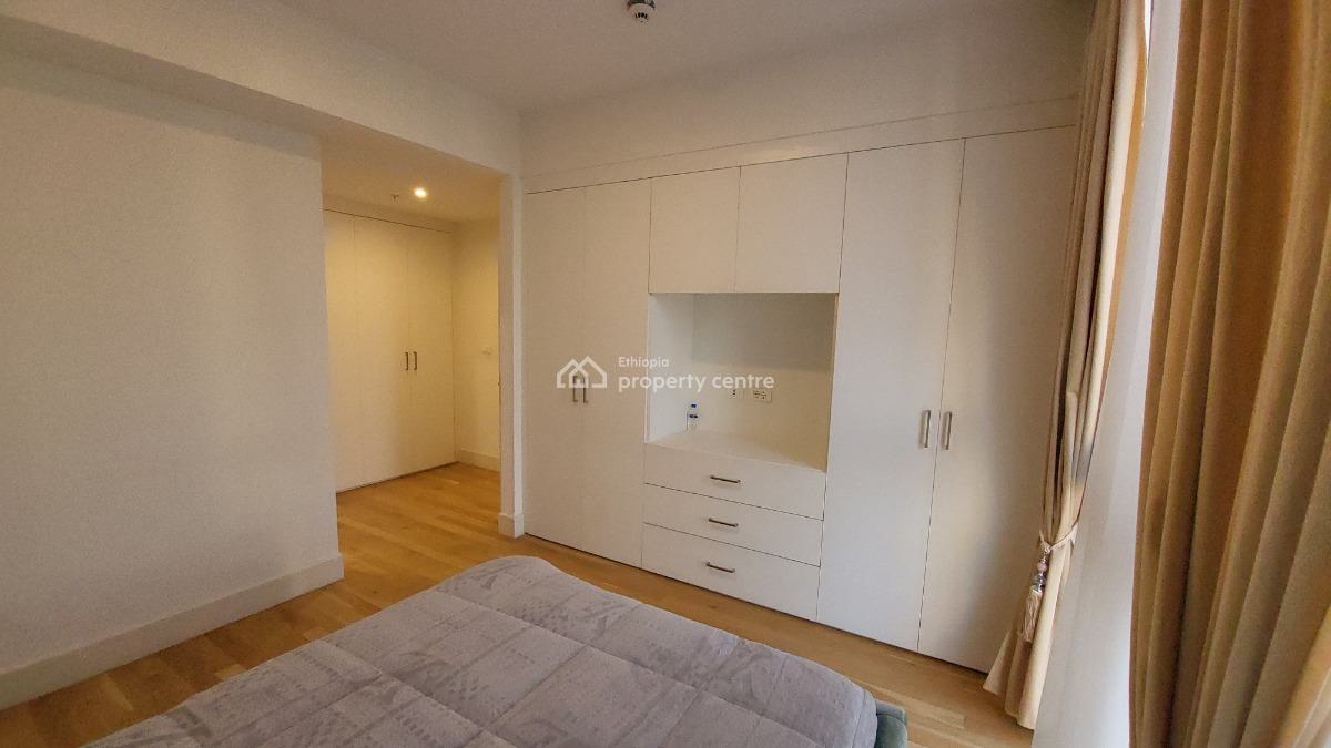 Luxury 2-bedroom Fully Furnished Apartment with Beautiful City View --, Kirkos, Addis Ababa, Self Contained (single Rooms) for Rent