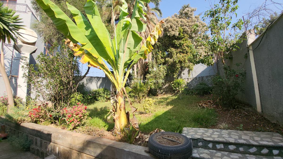 Ground Villa with Garden and Huge Compound -- Ideal for Family Living, Yeka, Yeka, Addis Ababa, Detached Bungalow for Rent
