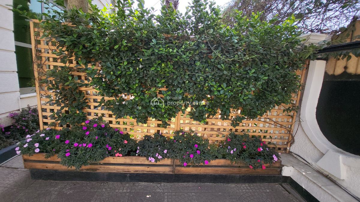 Luxury 4 Bedroom-- Ideal for Diplomats & Embassy Staf, Bole, Bole, Addis Ababa, Detached Duplex for Rent
