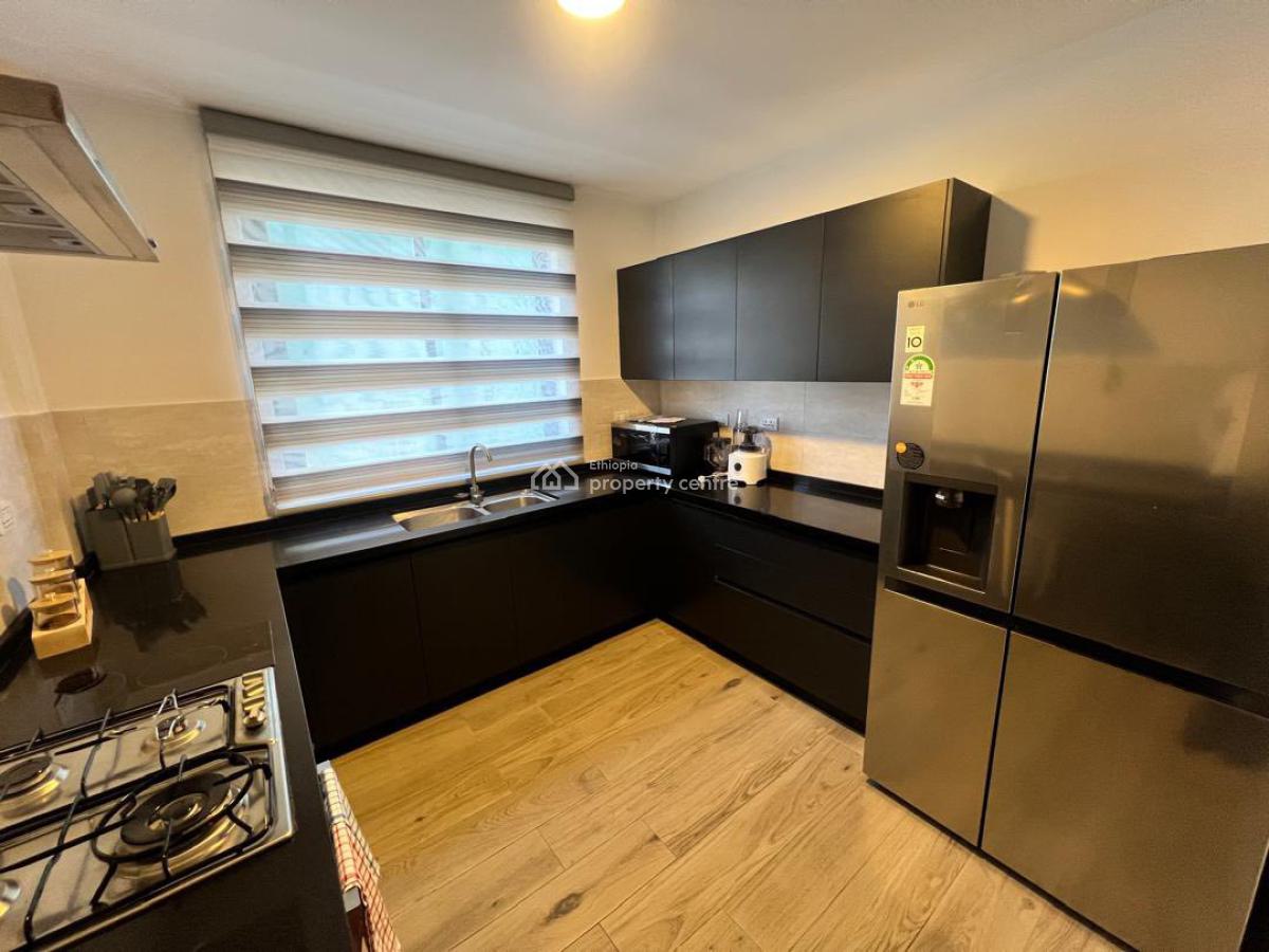 Luxurious Duplex 3 Bedroom Apartment, Bole, Bole, Addis Ababa, Apartment for Rent