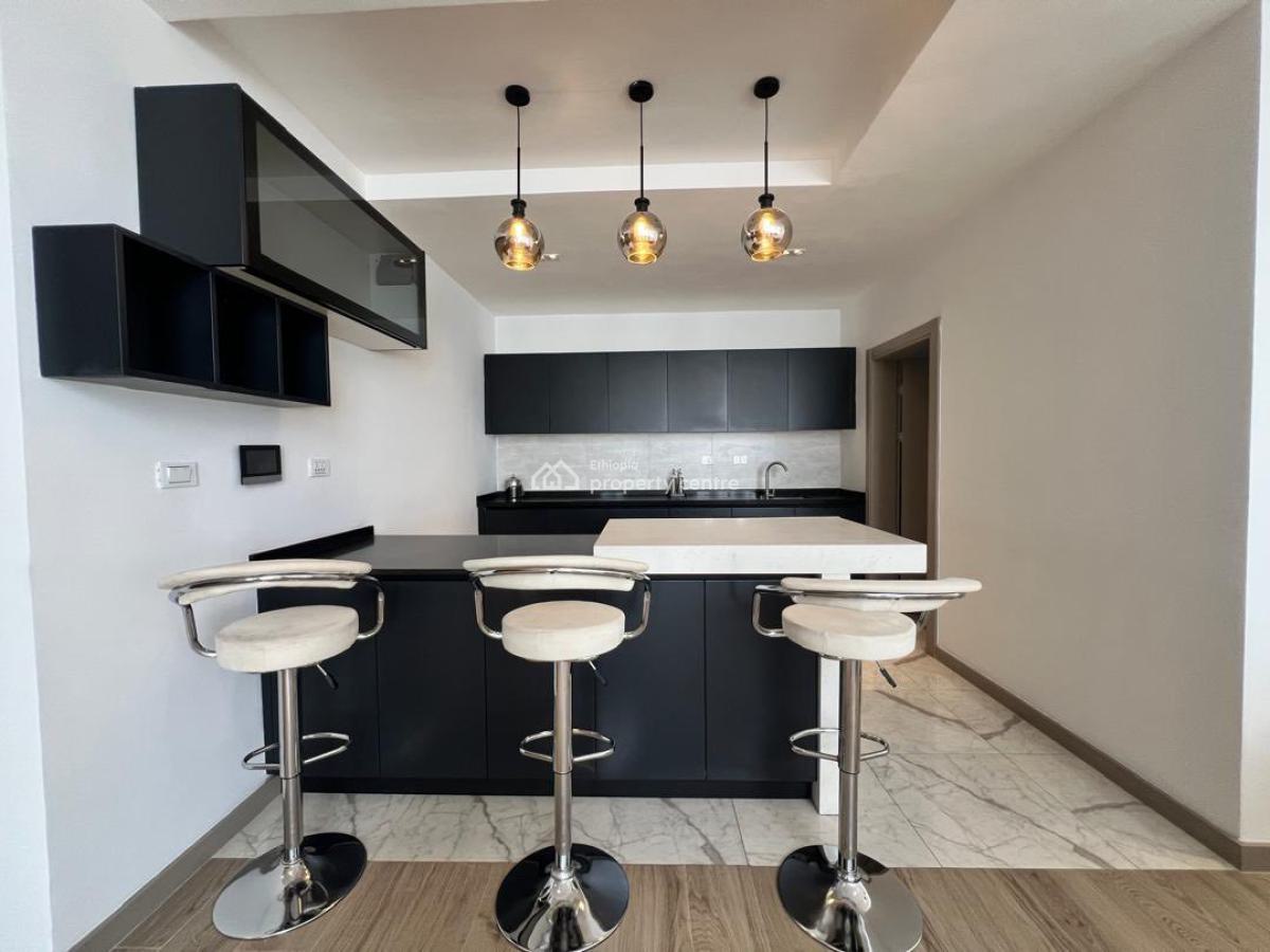 Luxurious Duplex 3 Bedroom Apartment, Bole, Bole, Addis Ababa, Apartment for Rent