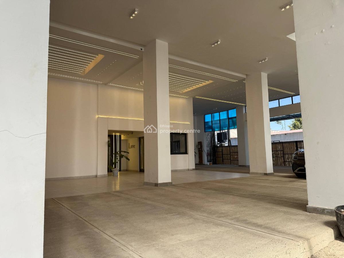 Brand New 3 Bedroom Apartment, Bole, Bole, Addis Ababa, Apartment for Rent