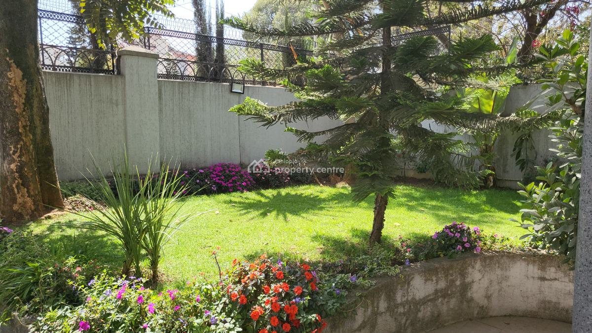 Luxury Stand-alone Home -- Expat / Embassy Preferred  Bole, Bole, Bole, Addis Ababa, Semi-detached Duplex for Rent