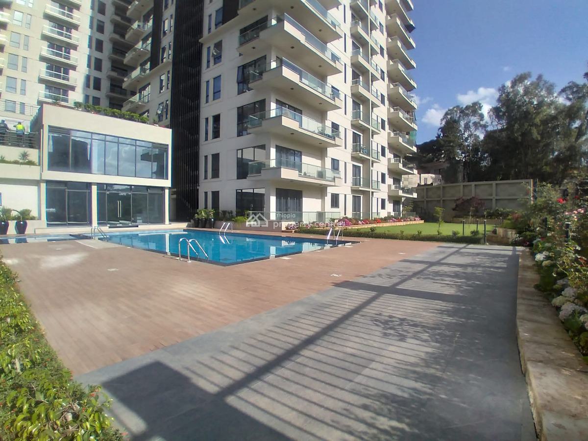 Furnished Luxury Apartment, Bole, Addis Ababa, Apartment for Rent