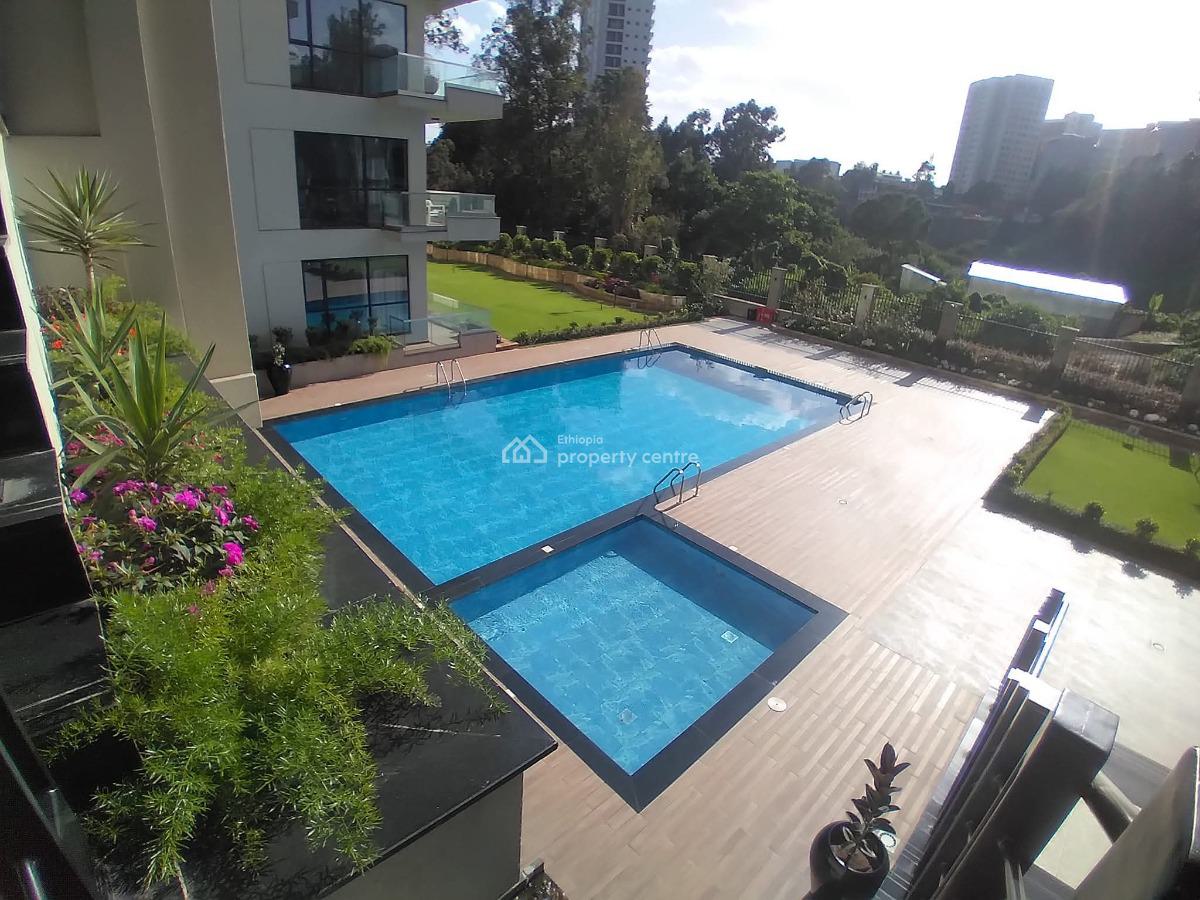 Furnished Luxury Apartment, Bole, Addis Ababa, Apartment for Rent