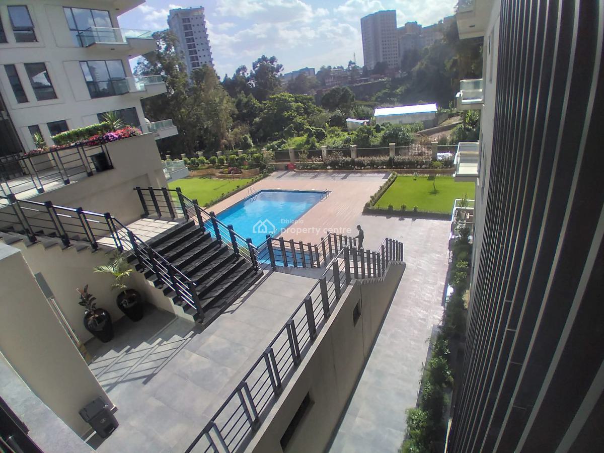 Furnished Luxury Apartment, Bole, Addis Ababa, Apartment for Rent