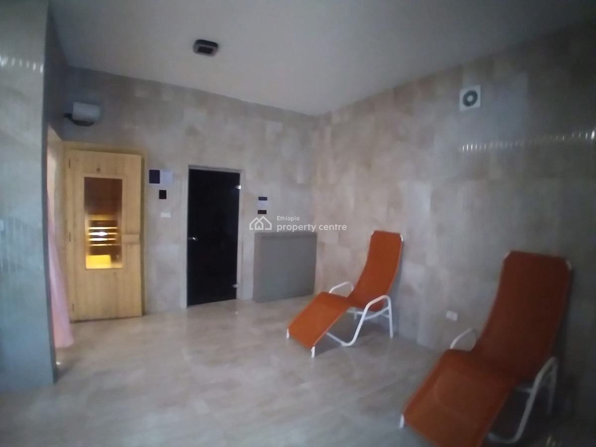 Furnished Luxury Apartment, Bole, Addis Ababa, Apartment for Rent