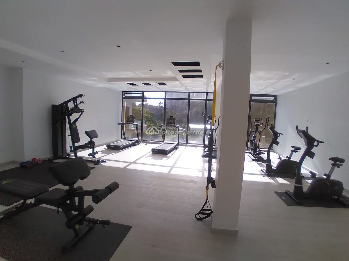 Furnished Luxury Apartment, Bole, Addis Ababa, Apartment for Rent