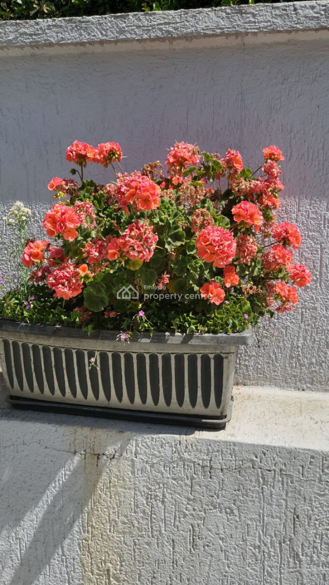 Prime Family Villa -- Walking Distance to Ics, Near to Ics, Nifas Silk-lafto, Addis Ababa, Terraced Bungalow for Rent