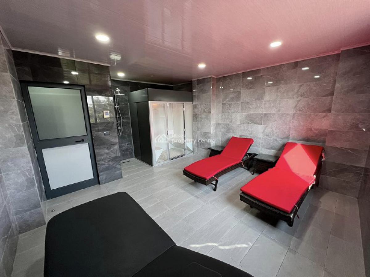 Top Ranked, New and The Most Luxurious Apartment, El849., Bole, Addis Ababa, Apartment for Rent