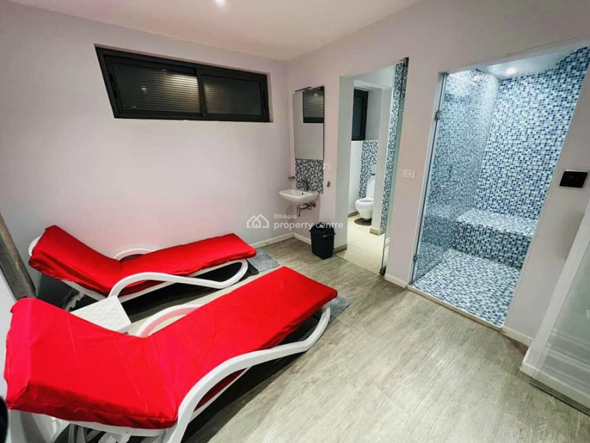 an Exclusive and a Rare Find 3 Bed Room Fully Furnished  Apartment!, Bole, Addis Ababa, Apartment for Rent