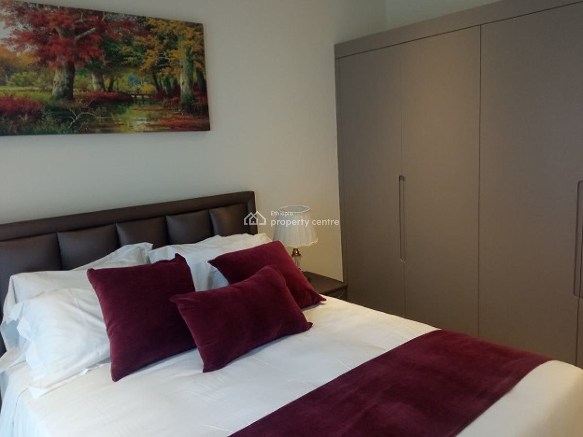 Super Cute! Fully Furnished and Highly Secured 3 Bd Apartment., Bole, Addis Ababa, Apartment for Rent