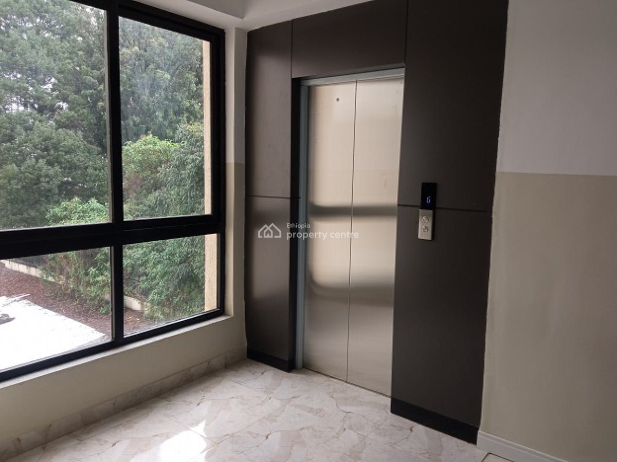 Exceptional and Exclusive 3bed Room Apartment, Nearby German School., Kazanchis, Addis Ababa, Apartment for Rent