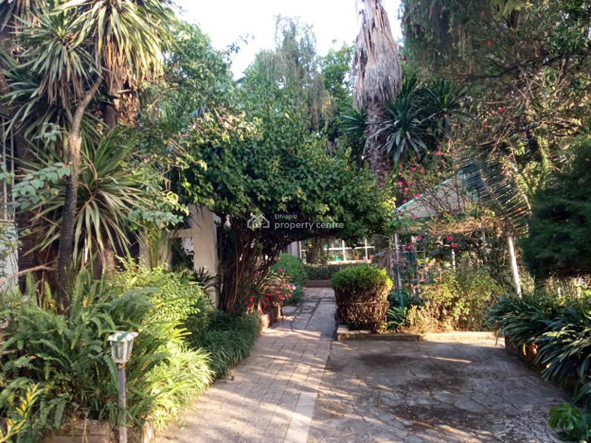 a Small House in a Mini Forest Having Mature Trees!, Yeka, Addis Ababa, House for Rent