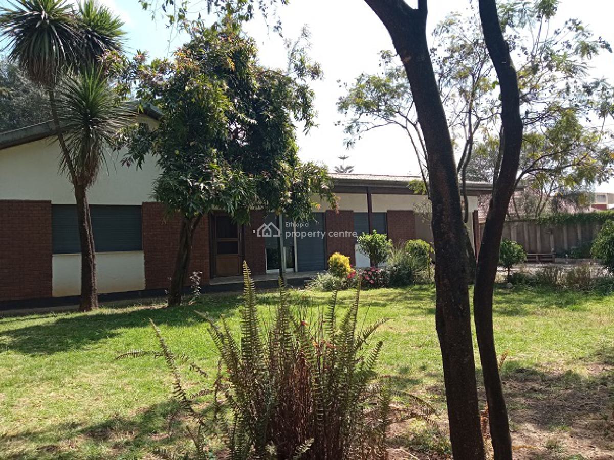 (old + Great) Villa, (front + Back) Garden, at Megenagna, Bole, Addis Ababa, House for Rent