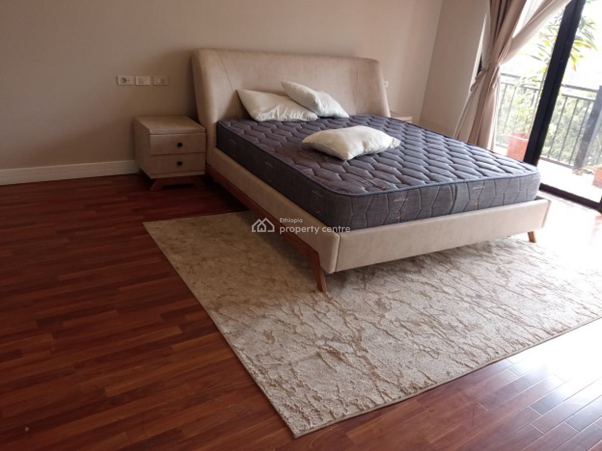 Super! Penthouse with a Fire Place and Nice View in Bole., Bole, Addis Ababa, Apartment for Rent