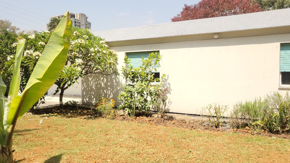 Exclusive Villa   Land Size: 1000 Sqm, Bole, Bole, Addis Ababa, Terraced Bungalow for Rent