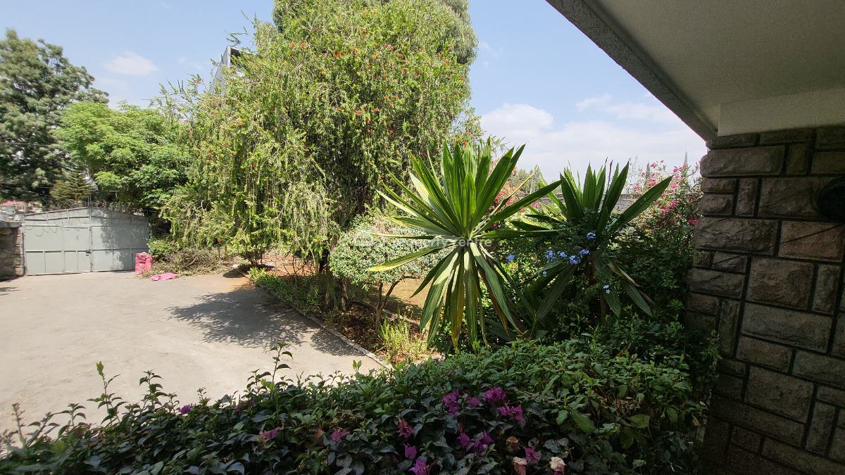 Exclusive Villa   Land Size: 1000 Sqm, Bole, Bole, Addis Ababa, Terraced Bungalow for Rent