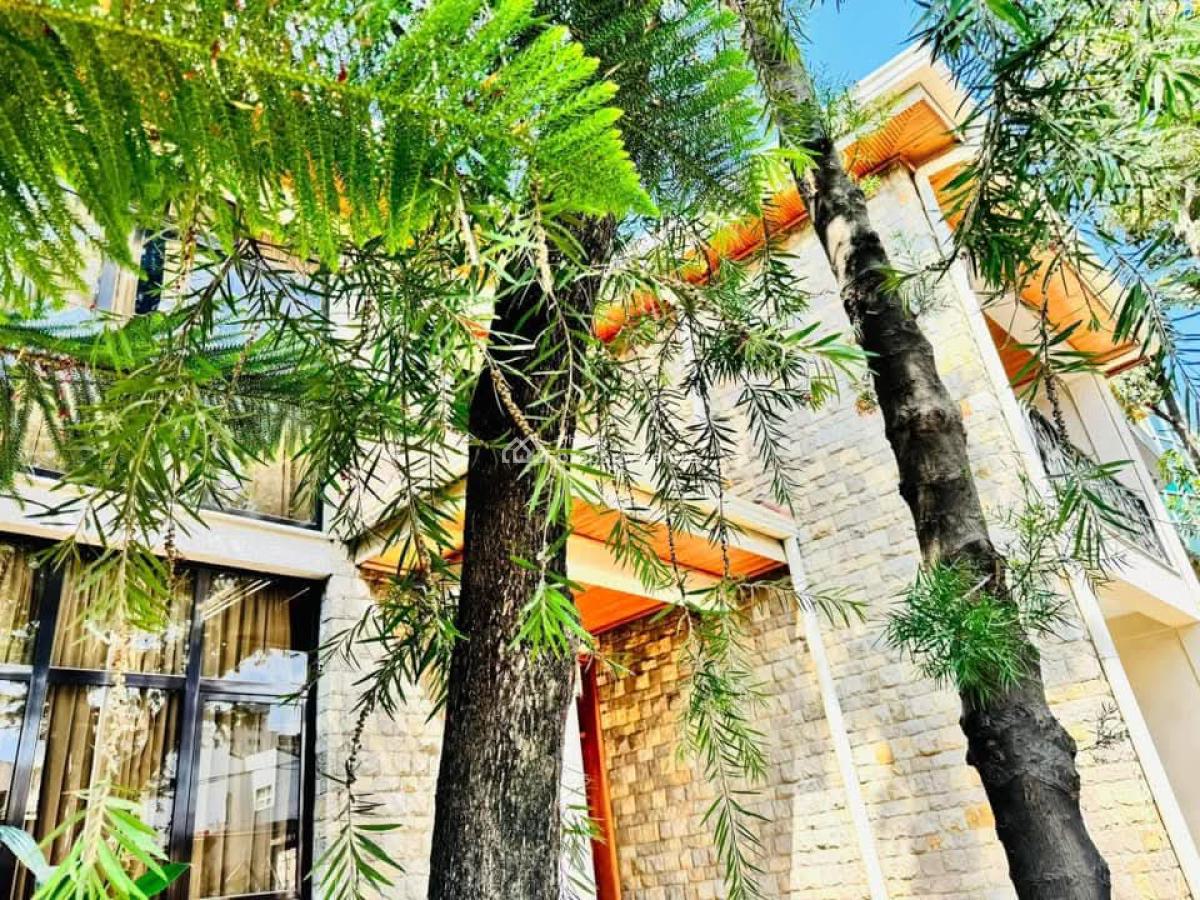 Tucasanet Property Listing  Elegant & Spacious Family Residence  Ide, Bole Shala, Bole, Addis Ababa, House for Rent