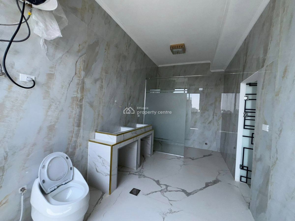 Luxurious 3 Bedroom Duplex Penthouse, Bole, Bole, Addis Ababa, Apartment for Rent