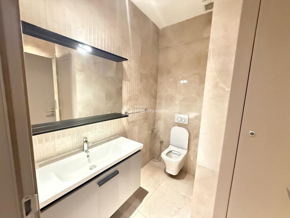 Nice Looking 3 Bedroom Furnished Apartment, Bole, Bole, Addis Ababa, Apartment for Rent