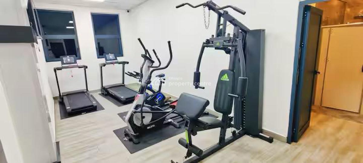 Luxury 4 Bedroom Fully Furnished Apartment with Club House -- Bole, Center of Bole, Bole, Addis Ababa, Self Contained (single Rooms) for Rent