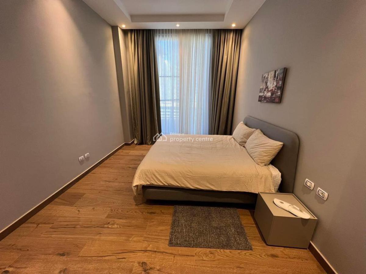 Ultra-luxury Sky Residence -- Bole  Walk to Airport  Elite Tenants, Midtown Bole, Bole, Addis Ababa, Self Contained (single Rooms) for Rent