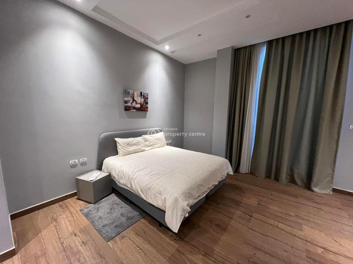 Ultra-luxury Sky Residence -- Bole  Walk to Airport  Elite Tenants, Midtown Bole, Bole, Addis Ababa, Self Contained (single Rooms) for Rent