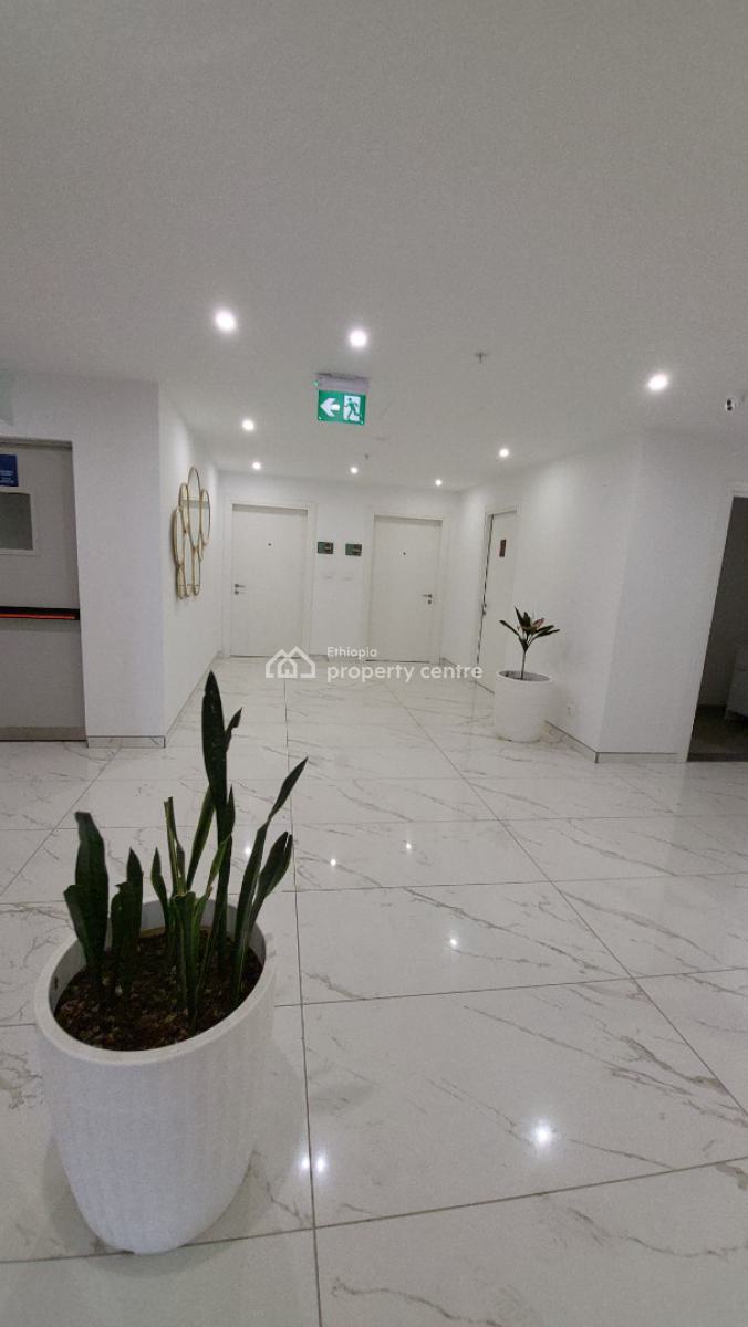 Fully Furnished Luxury 3 Bedroom Apartment -- City Center (near Legehar, Mexico Area, Kirkos, Addis Ababa, Self Contained (single Rooms) for Rent