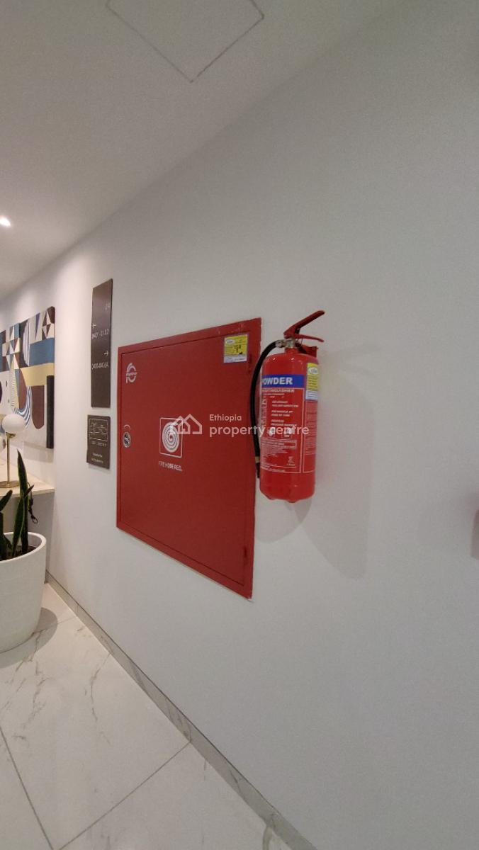 Fully Furnished Luxury 3 Bedroom Apartment -- City Center (near Legehar, Mexico Area, Kirkos, Addis Ababa, Self Contained (single Rooms) for Rent