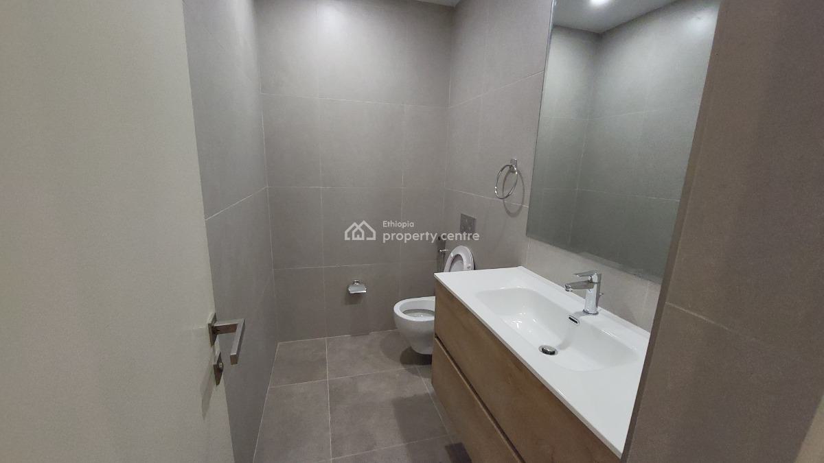 Fully Furnished Luxury 3 Bedroom Apartment -- City Center (near Legehar, Mexico Area, Kirkos, Addis Ababa, Self Contained (single Rooms) for Rent