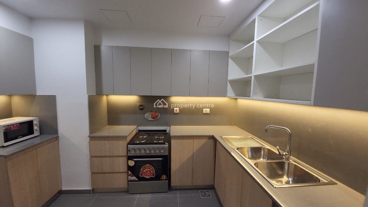 Fully Furnished Luxury 3 Bedroom Apartment -- City Center (near Legehar, Mexico Area, Kirkos, Addis Ababa, Self Contained (single Rooms) for Rent