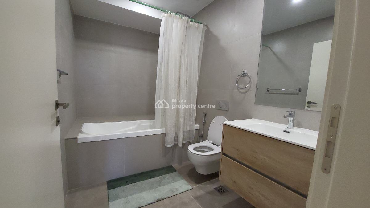 Fully Furnished Luxury 3 Bedroom Apartment -- City Center (near Legehar, Mexico Area, Kirkos, Addis Ababa, Self Contained (single Rooms) for Rent