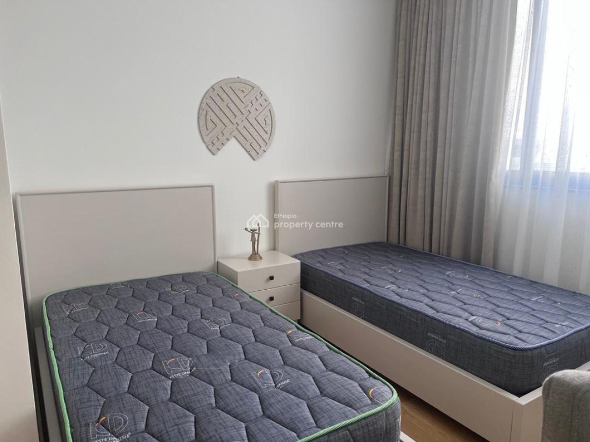 a Good Looking 3 Bedroom Furnished Apartment, Kirkos, Bole, Addis Ababa, Apartment for Rent