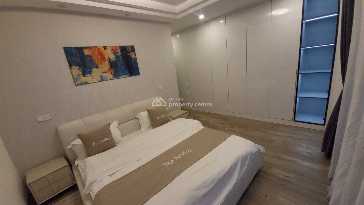 Luxury Fully Furnished High-end Expat Flat in Bole, Gabon Street, Bole, Addis Ababa, Self Contained (single Rooms) for Rent